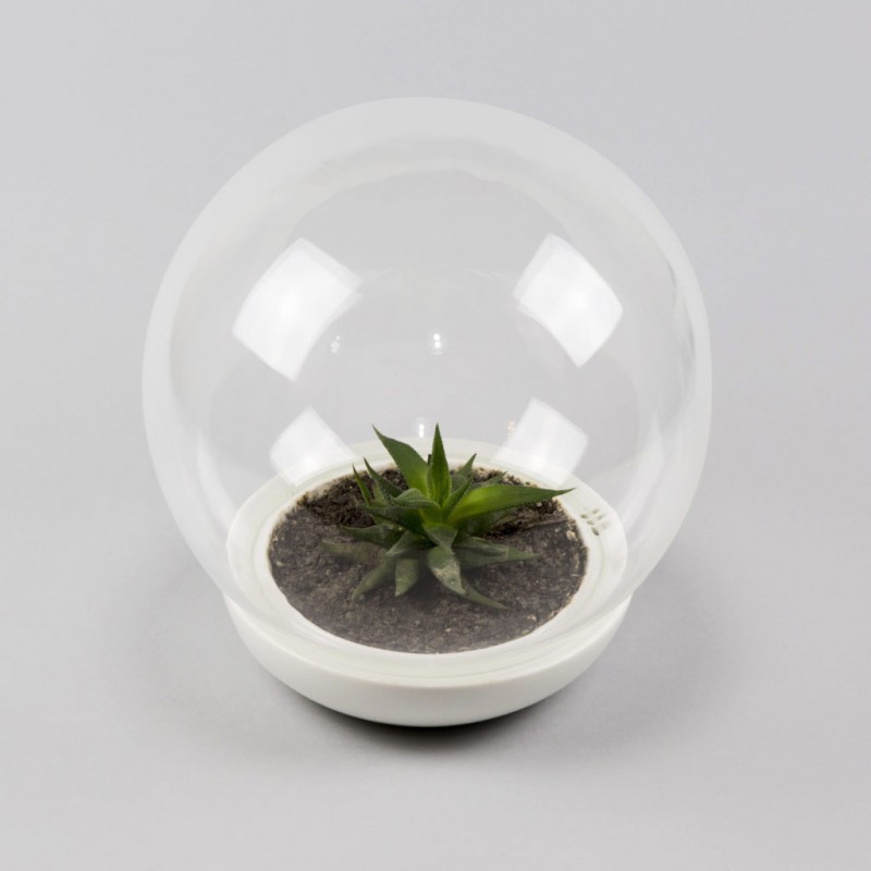Bytový mini skleník Biosféra koule malá