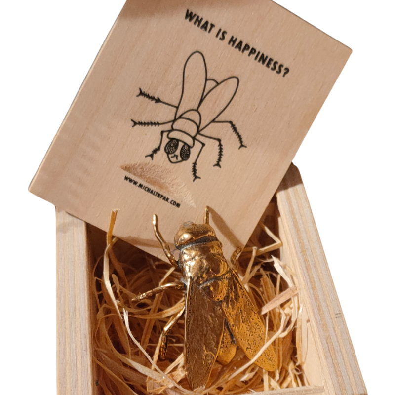 Co je štěstí? What is happiness? - brož