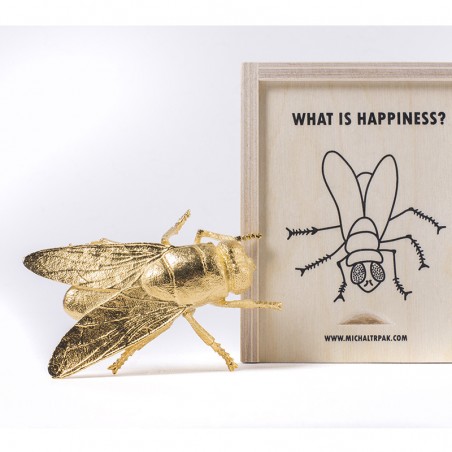 Co je štěstí? What is happiness? - závěs